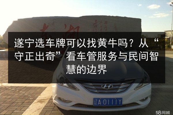 遂宁选车牌可以找黄牛吗？从“守正出奇”看车管服务与民间智慧的边界 第3张