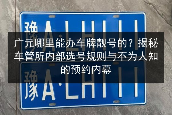 广元哪里能办车牌靓号的？揭秘车管所内部选号规则与不为人知的预约内幕 第2张