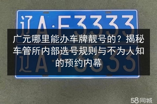 广元哪里能办车牌靓号的？揭秘车管所内部选号规则与不为人知的预约内幕 第3张