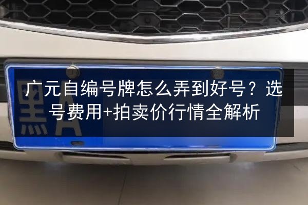 广元自编号牌怎么弄到好号？选号费用+拍卖价行情全解析 第3张