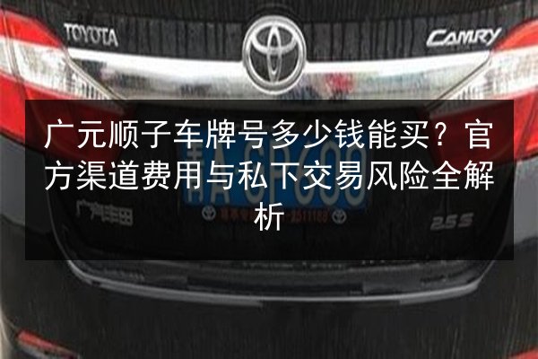 广元顺子车牌号多少钱能买?官方渠道费用与私下交易风险全解析 第1张 广元顺子车牌号多少钱能买?官方渠道费用与私下交易风险全解析 第1张