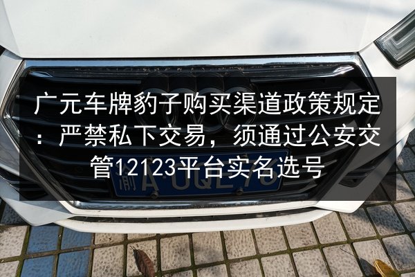 广元车牌豹子购买渠道政策规定:严禁私下交易,须通过公安交管12123平台实名选号 第2张 广元车牌豹子购买渠道政策规定:严禁私下交易,须通过公安交管12123平台实名选号 第2张