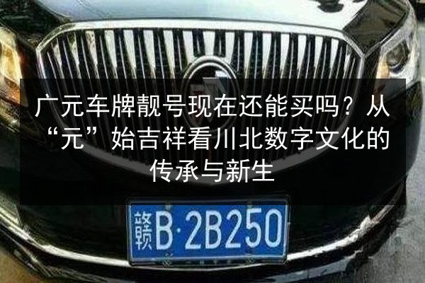 广元车牌靓号现在还能买吗?从“元”始吉祥看川北数字文化的传承与新生 第2张 广元车牌靓号现在还能买吗?从“元”始吉祥看川北数字文化的传承与新生 第2张