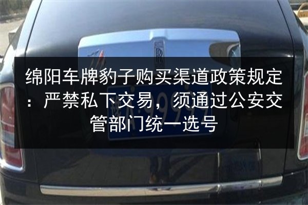 绵阳车牌豹子购买渠道政策规定：严禁私下交易，须通过公安交管部门统一选号 第2张