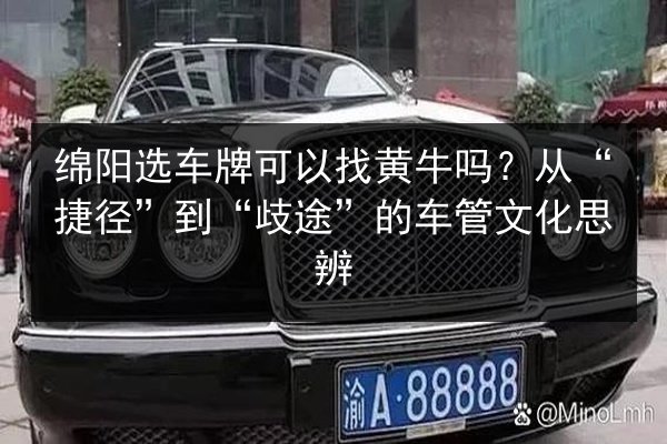 绵阳选车牌可以找黄牛吗?从“捷径”到“歧途”的车管文化思辨 第1张 绵阳选车牌可以找黄牛吗?从“捷径”到“歧途”的车管文化思辨 第1张