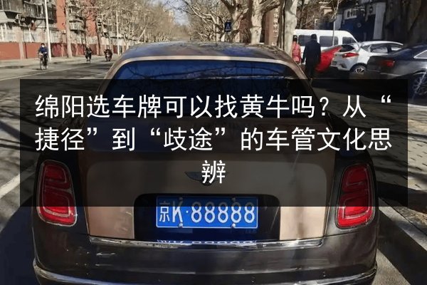绵阳选车牌可以找黄牛吗?从“捷径”到“歧途”的车管文化思辨 第2张 绵阳选车牌可以找黄牛吗?从“捷径”到“歧途”的车管文化思辨 第2张