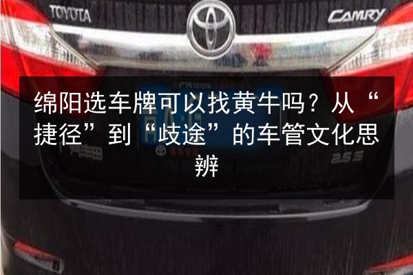 绵阳选车牌可以找黄牛吗?从“捷径”到“歧途”的车管文化思辨 第3张 绵阳选车牌可以找黄牛吗?从“捷径”到“歧途”的车管文化思辨 第3张