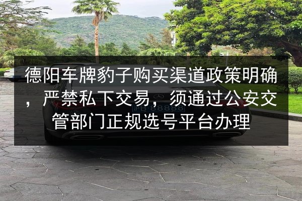德阳车牌豹子购买渠道政策明确,严禁私下交易,须通过公安交管部门正规选号平台办理 第3张 德阳车牌豹子购买渠道政策明确,严禁私下交易,须通过公安交管部门正规选号平台办理 第3张