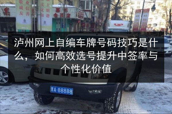 泸州网上自编车牌号码技巧是什么，如何高效选号提升中签率与个性化价值 第2张