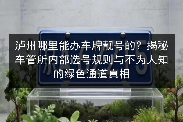 泸州哪里能办车牌靓号的？揭秘车管所内部选号规则与不为人知的绿色通道真相