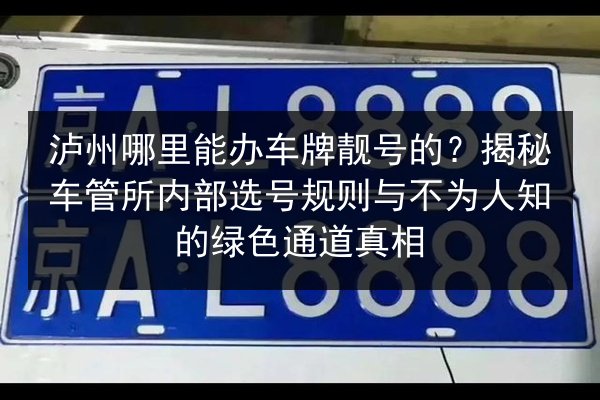 泸州哪里能办车牌靓号的？揭秘车管所内部选号规则与不为人知的绿色通道真相 第2张