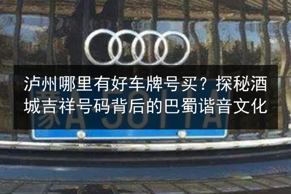 泸州哪里有好车牌号买?探秘酒城吉祥号码背后的巴蜀谐音文化 第2张 泸州哪里有好车牌号买?探秘酒城吉祥号码背后的巴蜀谐音文化 第2张