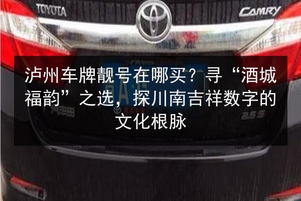 泸州车牌靓号在哪买?寻“酒城福韵”之选,探川南吉祥数字的文化根脉 第2张 泸州车牌靓号在哪买?寻“酒城福韵”之选,探川南吉祥数字的文化根脉 第2张