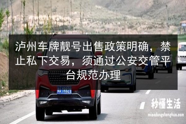 泸州车牌靓号出售政策明确,禁止私下交易,须通过公安交管平台规范办理 第3张 泸州车牌靓号出售政策明确,禁止私下交易,须通过公安交管平台规范办理 第3张