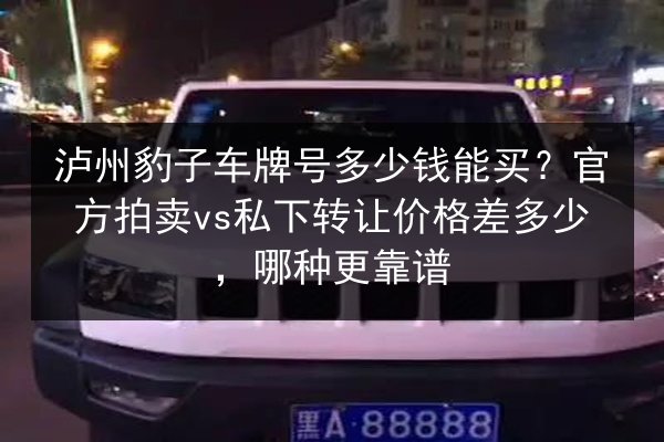 泸州豹子车牌号多少钱能买?官方拍卖vs私下转让价格差多少,哪种更靠谱 第2张 泸州豹子车牌号多少钱能买?官方拍卖vs私下转让价格差多少,哪种更靠谱 第2张
