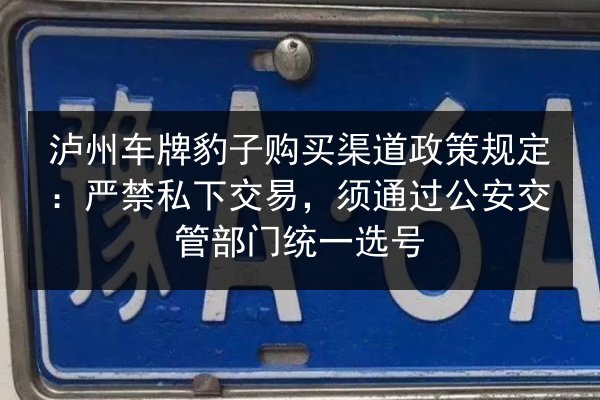 泸州车牌豹子购买渠道政策规定：严禁私下交易，须通过公安交管部门统一选号 第2张