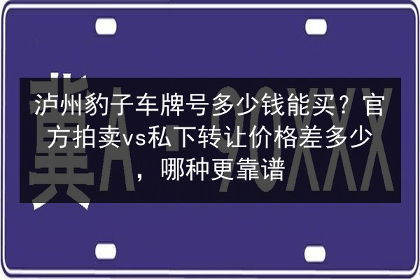 泸州豹子车牌号多少钱能买?官方拍卖vs私下转让价格差多少,哪种更靠谱 第3张 泸州豹子车牌号多少钱能买?官方拍卖vs私下转让价格差多少,哪种更靠谱 第3张