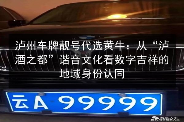 泸州车牌靓号代选黄牛:从“泸酒之都”谐音文化看数字吉祥的地域身份认同 第2张 泸州车牌靓号代选黄牛:从“泸酒之都”谐音文化看数字吉祥的地域身份认同 第2张