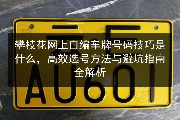 攀枝花网上自编车牌号码技巧是什么，高效选号方法与避坑指南全解析 第1张