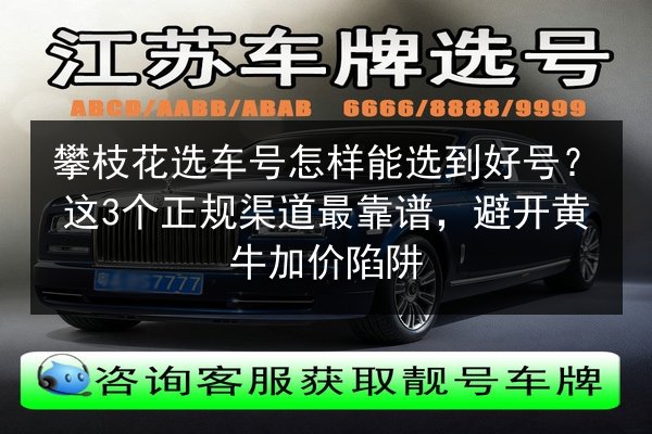攀枝花选车号怎样能选到好号？这3个正规渠道最靠谱，避开黄牛加价陷阱 第2张