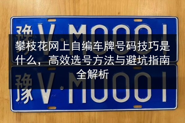 攀枝花网上自编车牌号码技巧是什么，高效选号方法与避坑指南全解析 第3张