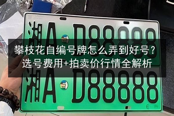 攀枝花自编号牌怎么弄到好号？选号费用+拍卖价行情全解析 第2张