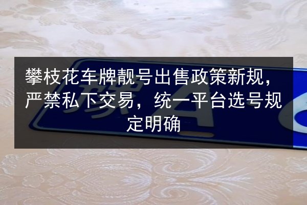 攀枝花车牌靓号出售政策新规，严禁私下交易，统一平台选号规定明确 第2张