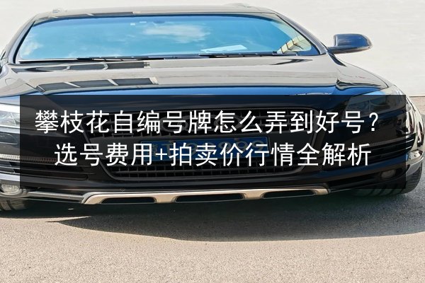 攀枝花自编号牌怎么弄到好号？选号费用+拍卖价行情全解析 第3张