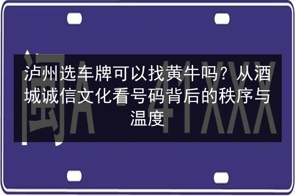 泸州选车牌可以找黄牛吗？从酒城诚信文化看号码背后的秩序与温度 第2张