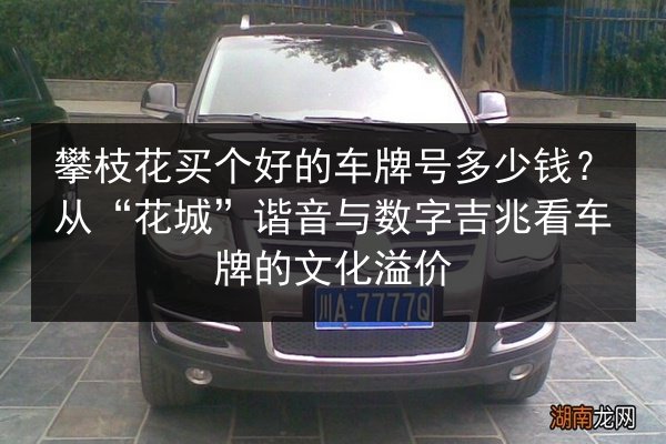 攀枝花买个好的车牌号多少钱？从“花城”谐音与数字吉兆看车牌的文化溢价 第2张