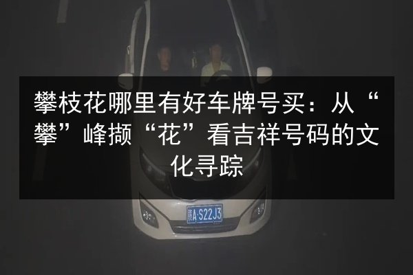 攀枝花哪里有好车牌号买:从“攀”峰撷“花”看吉祥号码的文化寻踪 第2张 攀枝花哪里有好车牌号买:从“攀”峰撷“花”看吉祥号码的文化寻踪 第2张