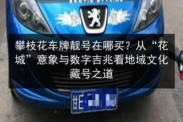 攀枝花车牌靓号在哪买?从“花城”意象与数字吉兆看地域文化藏号之道 第2张 攀枝花车牌靓号在哪买?从“花城”意象与数字吉兆看地域文化藏号之道 第2张