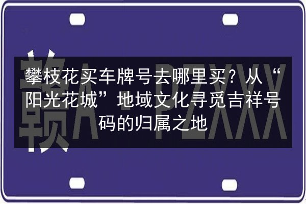 攀枝花买车牌号去哪里买？从“阳光花城”地域文化寻觅吉祥号码的归属之地