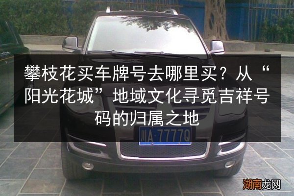 攀枝花买车牌号去哪里买？从“阳光花城”地域文化寻觅吉祥号码的归属之地 第2张