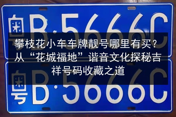 攀枝花小车车牌靓号哪里有买？从“花城福地”谐音文化探秘吉祥号码收藏之道 第2张