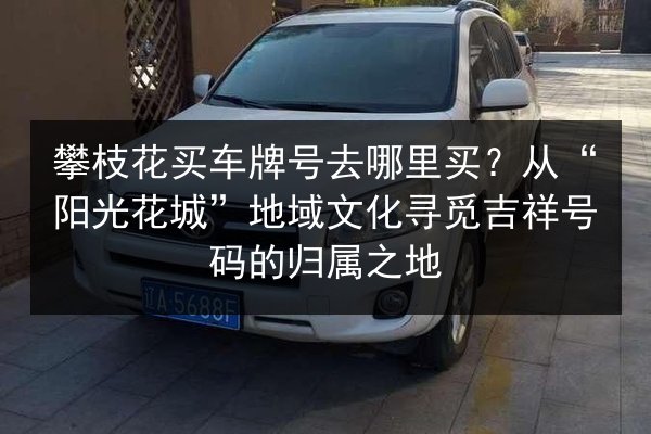 攀枝花买车牌号去哪里买？从“阳光花城”地域文化寻觅吉祥号码的归属之地 第3张