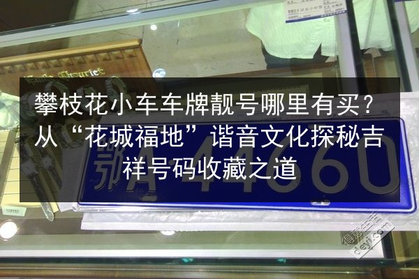 攀枝花小车车牌靓号哪里有买？从“花城福地”谐音文化探秘吉祥号码收藏之道 第3张