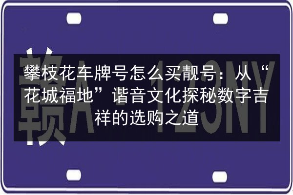 攀枝花车牌号怎么买靓号:从“花城福地”谐音文化探秘数字吉祥的选购之道 第3张 攀枝花车牌号怎么买靓号:从“花城福地”谐音文化探秘数字吉祥的选购之道 第3张