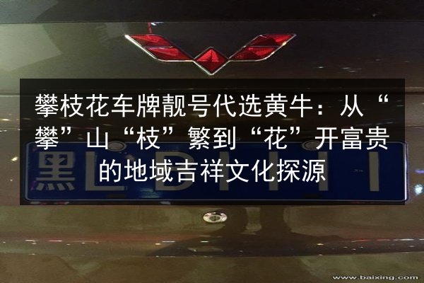 攀枝花车牌靓号代选黄牛:从“攀”山“枝”繁到“花”开富贵的地域吉祥文化探源 第2张 攀枝花车牌靓号代选黄牛:从“攀”山“枝”繁到“花”开富贵的地域吉祥文化探源 第2张