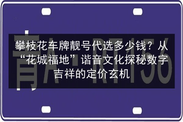 攀枝花车牌靓号代选多少钱？从“花城福地”谐音文化探秘数字吉祥的定价玄机 第2张