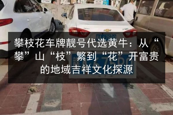 攀枝花车牌靓号代选黄牛:从“攀”山“枝”繁到“花”开富贵的地域吉祥文化探源 第3张 攀枝花车牌靓号代选黄牛:从“攀”山“枝”繁到“花”开富贵的地域吉祥文化探源 第3张