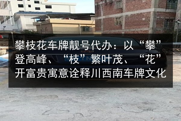 攀枝花车牌靓号代办：以“攀”登高峰、“枝”繁叶茂、“花”开富贵寓意诠释川西南车牌文化 第2张