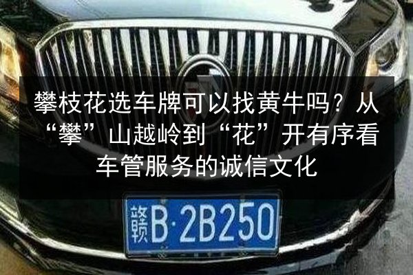 攀枝花选车牌可以找黄牛吗？从“攀”山越岭到“花”开有序看车管服务的诚信文化