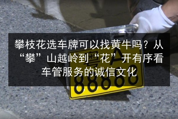 攀枝花选车牌可以找黄牛吗?从“攀”山越岭到“花”开有序看车管服务的诚信文化 第2张 攀枝花选车牌可以找黄牛吗?从“攀”山越岭到“花”开有序看车管服务的诚信文化 第2张