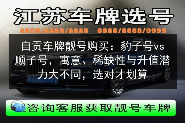 自贡车牌靓号购买:豹子号vs顺子号,寓意、稀缺性与升值潜力大不同,选对才划算 第1张 自贡车牌靓号购买:豹子号vs顺子号,寓意、稀缺性与升值潜力大不同,选对才划算 第1张