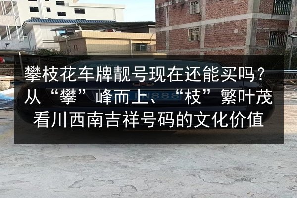 攀枝花车牌靓号现在还能买吗？从“攀”峰而上、“枝”繁叶茂看川西南吉祥号码的文化价值 第2张
