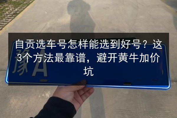 自贡选车号怎样能选到好号?这3个方法最靠谱,避开黄牛加价坑 第2张 自贡选车号怎样能选到好号?这3个方法最靠谱,避开黄牛加价坑 第2张