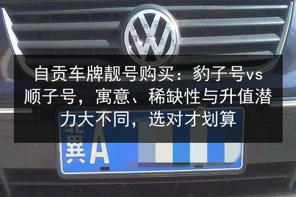 自贡车牌靓号购买:豹子号vs顺子号,寓意、稀缺性与升值潜力大不同,选对才划算 第2张 自贡车牌靓号购买:豹子号vs顺子号,寓意、稀缺性与升值潜力大不同,选对才划算 第2张