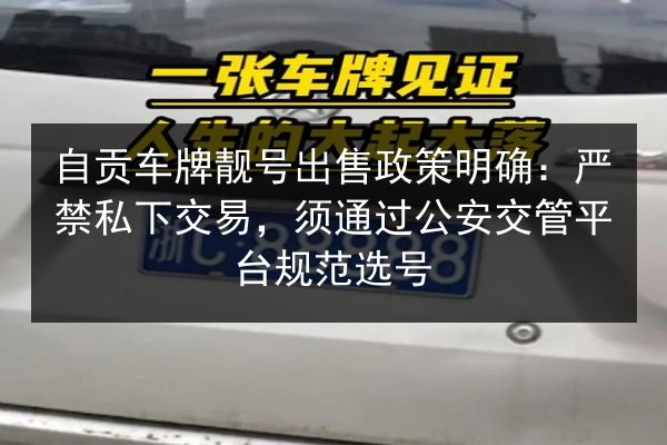 自贡车牌靓号出售政策明确:严禁私下交易,须通过公安交管平台规范选号 第2张 自贡车牌靓号出售政策明确:严禁私下交易,须通过公安交管平台规范选号 第2张
