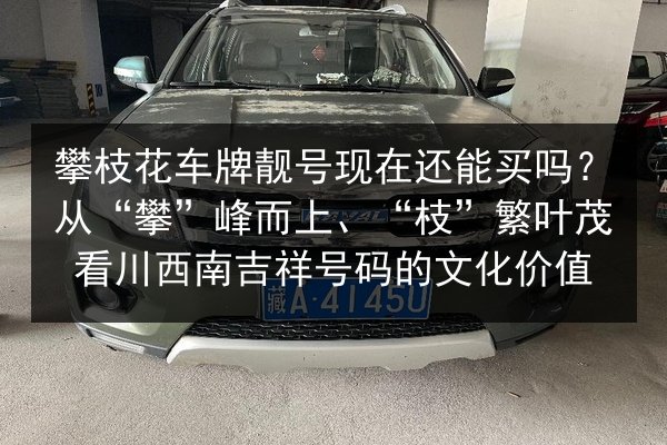 攀枝花车牌靓号现在还能买吗？从“攀”峰而上、“枝”繁叶茂看川西南吉祥号码的文化价值 第3张